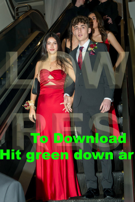 Rangitoto College Y13 Ball